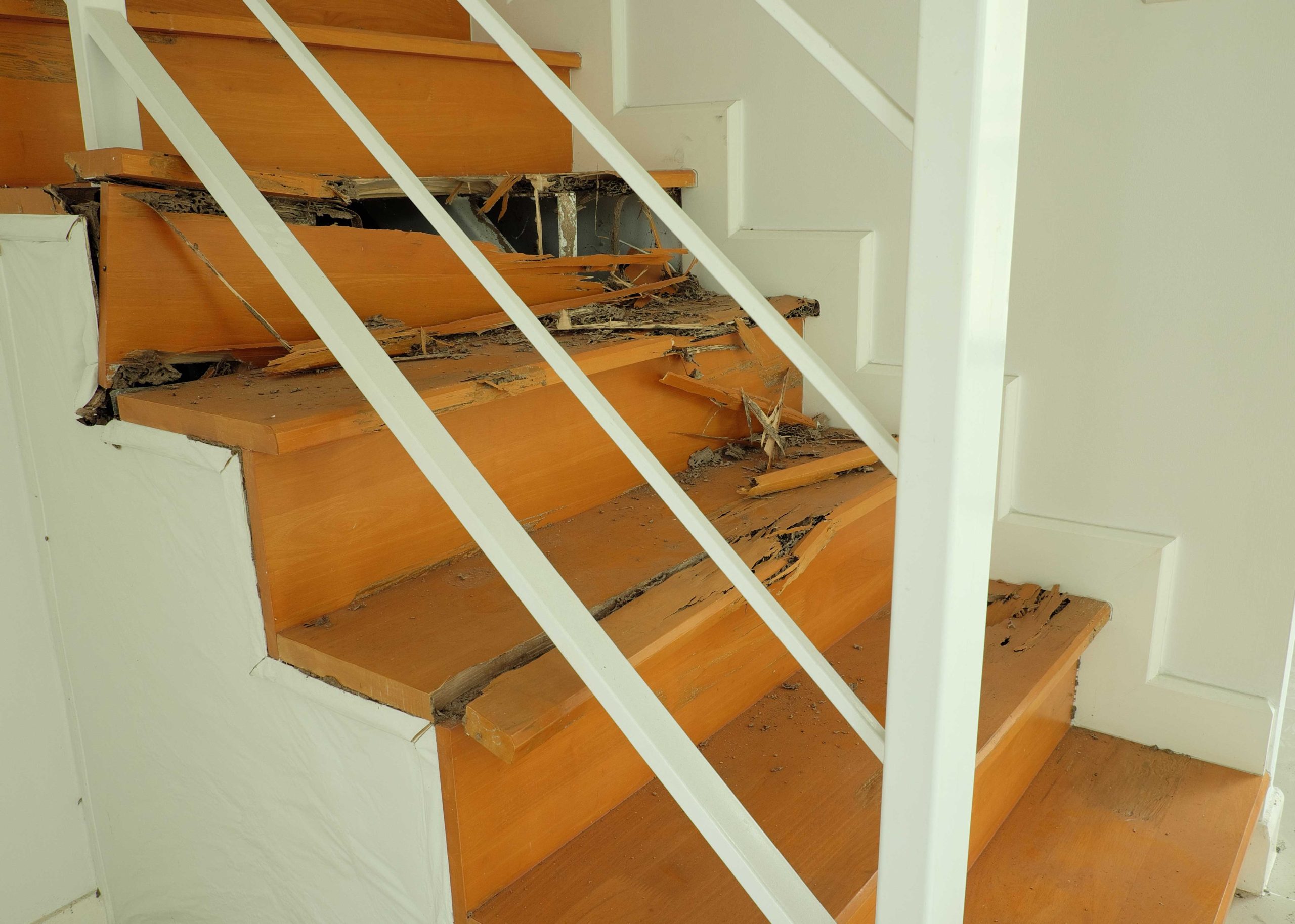 termite damage to stairs